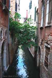venice6
